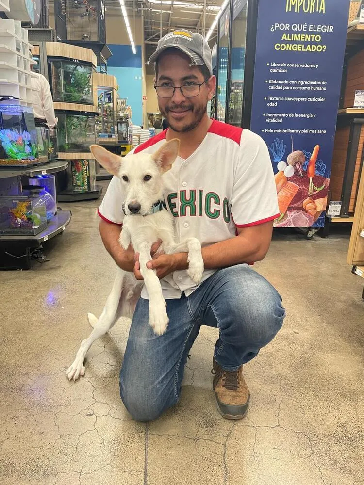 Clifford thumbnail 4