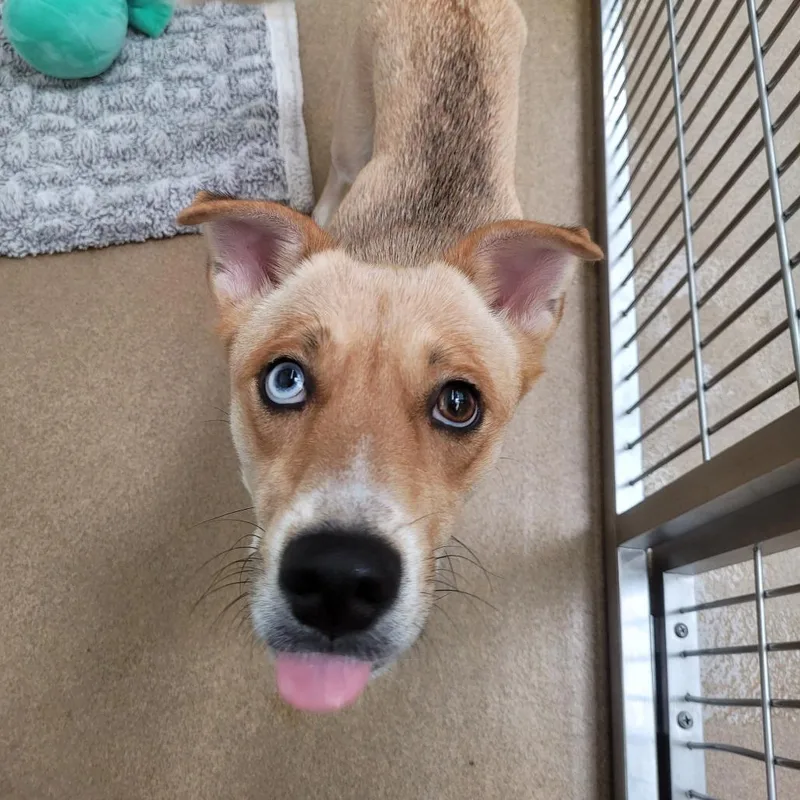 Cinnabon thumbnail 4