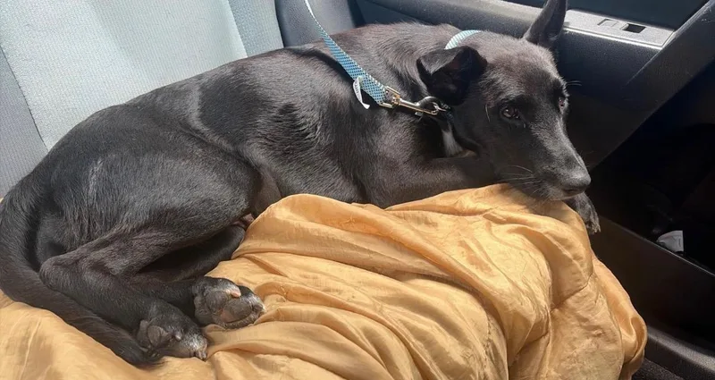 Nena  The Perfect thumbnail 2