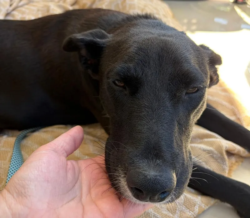 Nena  The Perfect thumbnail 3