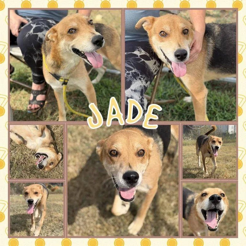Jade thumbnail 2