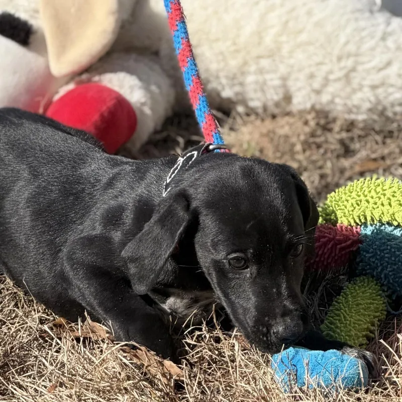 Moodonna thumbnail 2