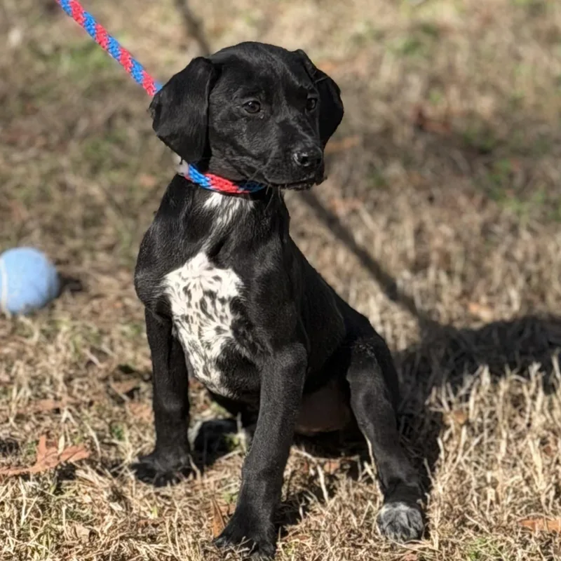 Moodonna thumbnail 3