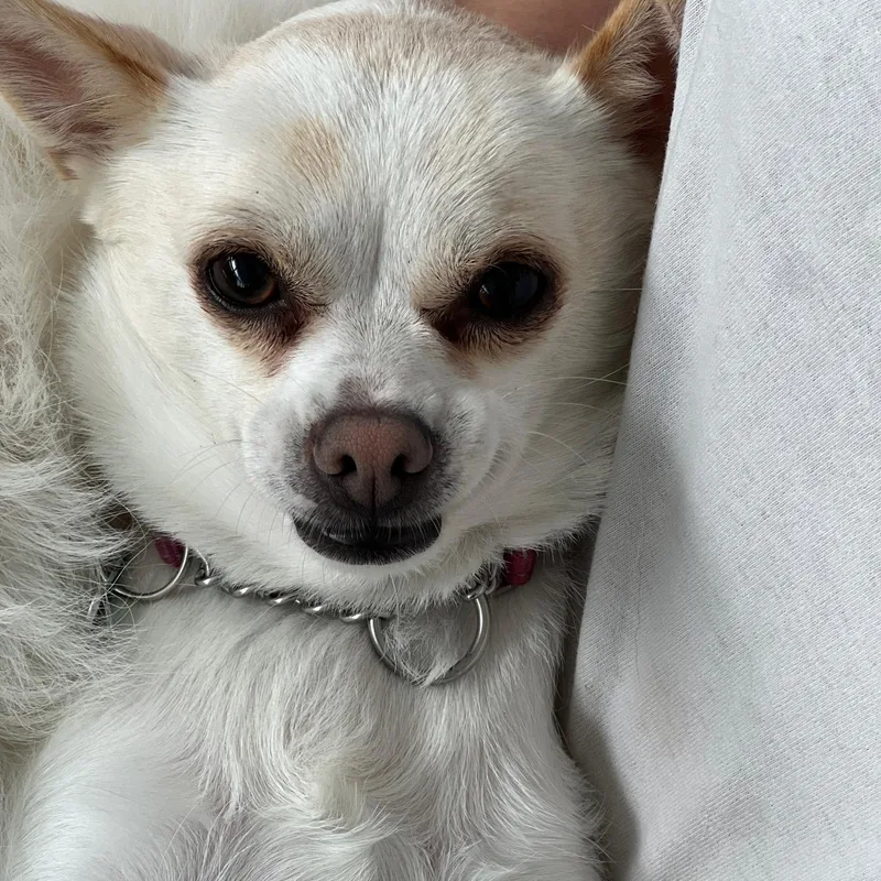 Lexi thumbnail 2