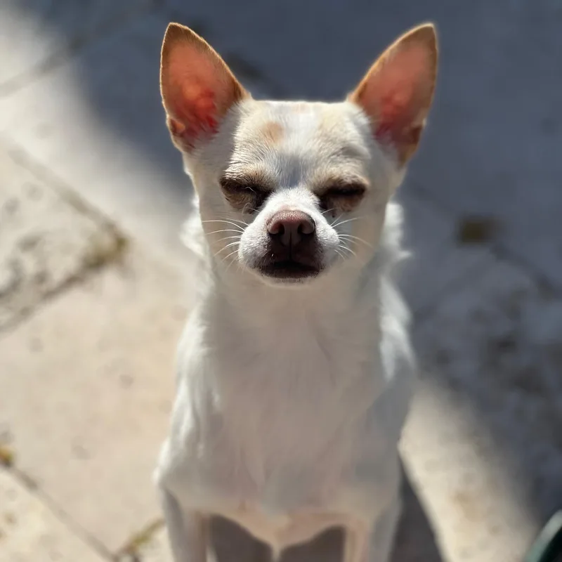 Lexi thumbnail 3