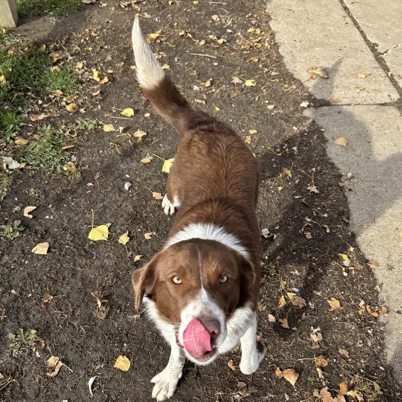 Kasper Bonded W Karma thumbnail 2