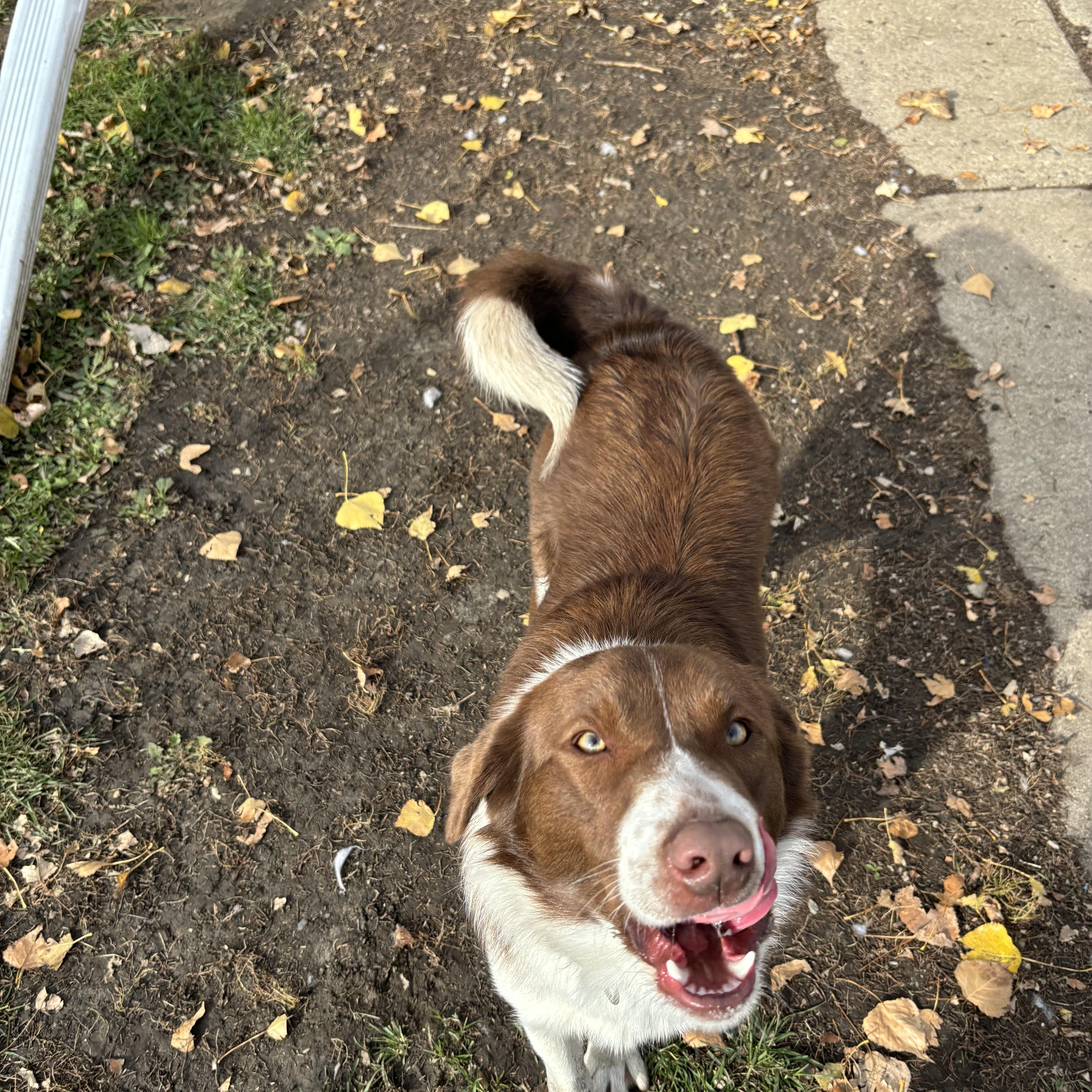 Kasper Bonded W Karma thumbnail 3