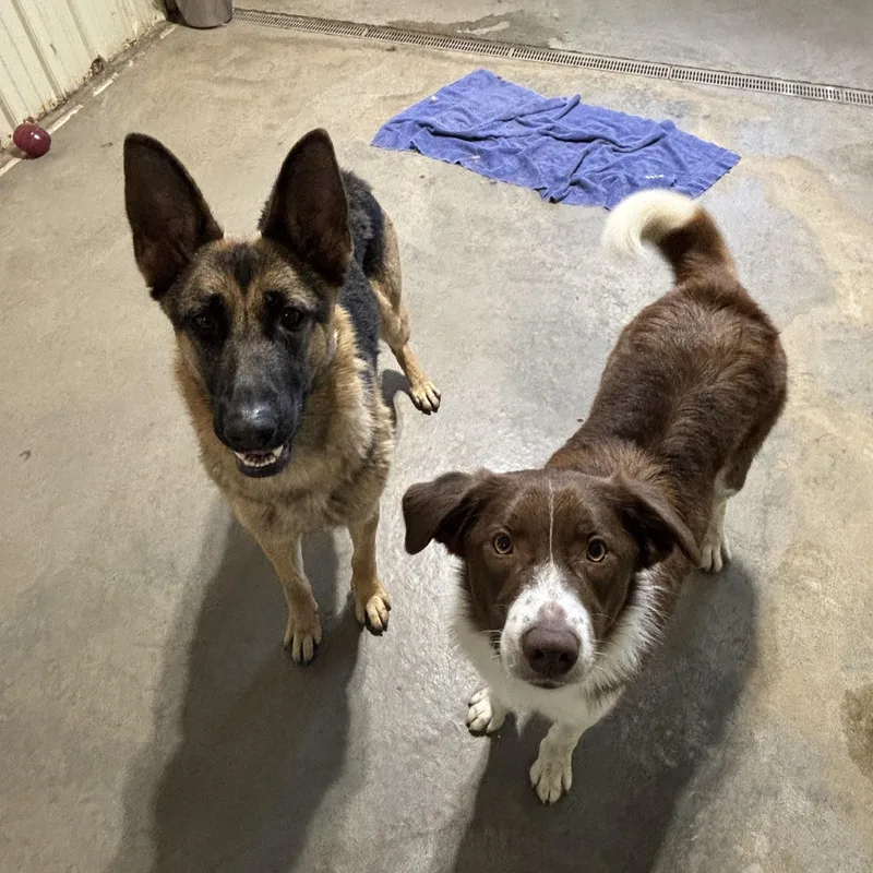 Kasper Bonded W Karma