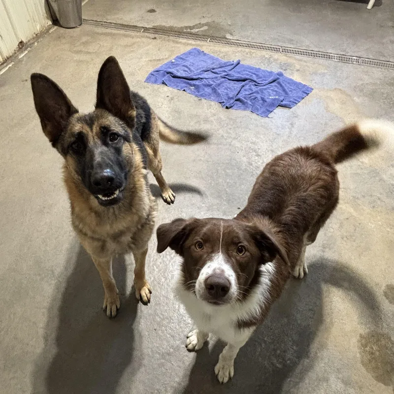 Kasper Bonded W Karma thumbnail 4