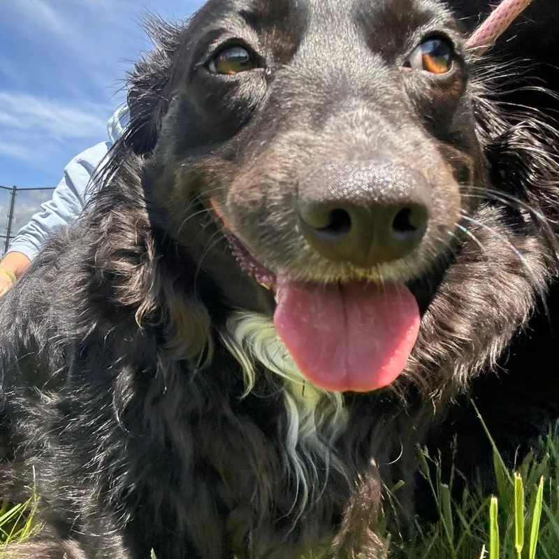 Lola thumbnail 3