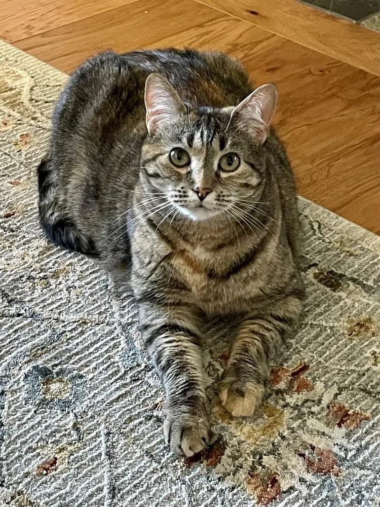 Flossie  Lm thumbnail 2