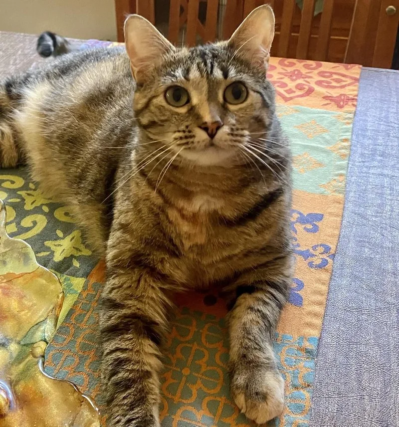 Flossie  Lm thumbnail 3