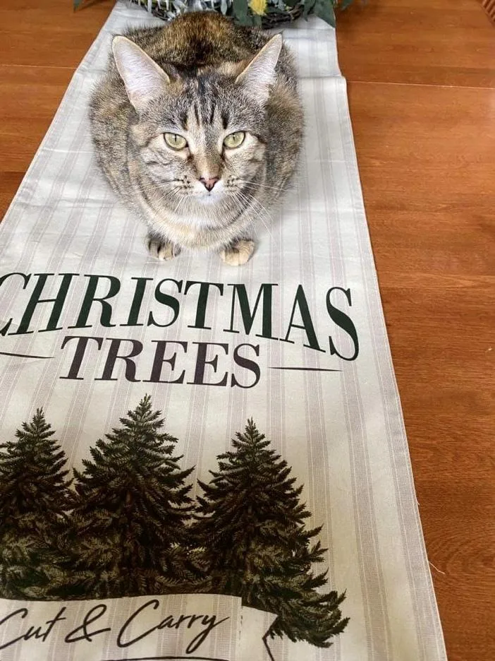 Flossie  Lm thumbnail 4