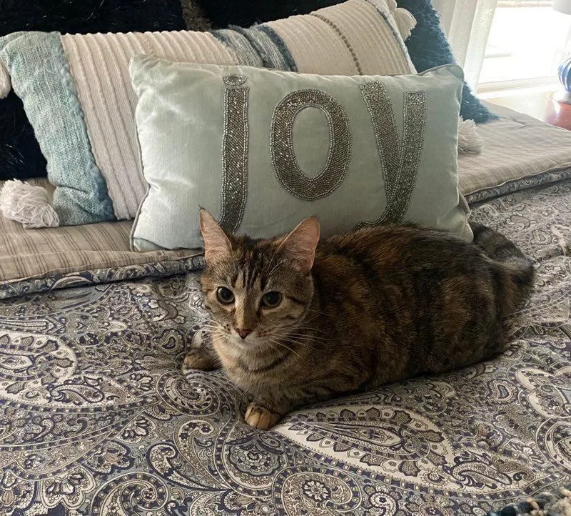 Flossie  Lm thumbnail 5