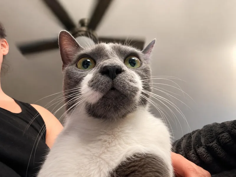 Tuna