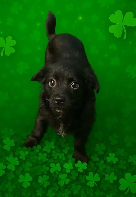 Little Bit thumbnail 2