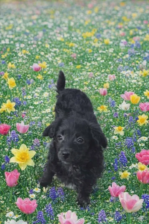 Little Bit thumbnail 3