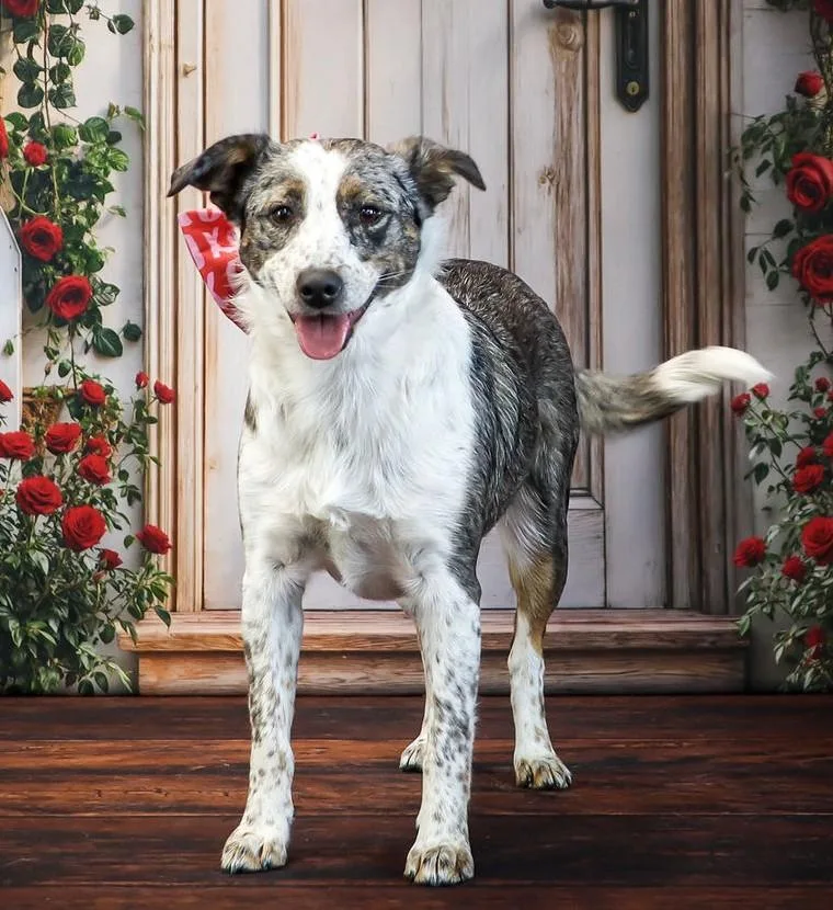 Sadie June thumbnail 3