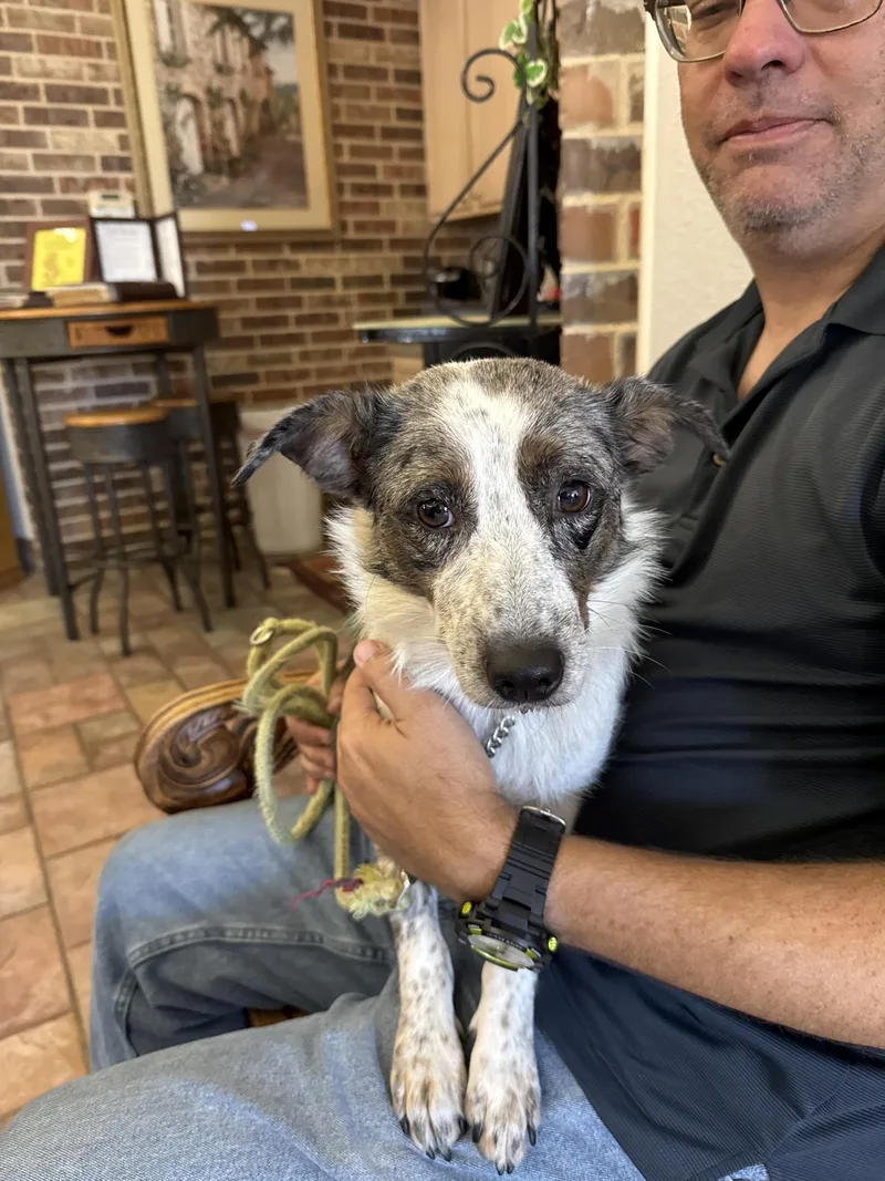 Sadie June thumbnail 5