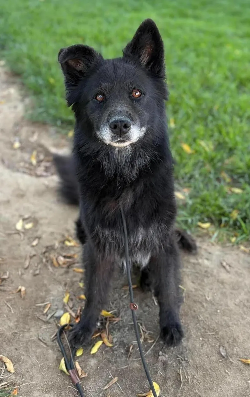 Caspian