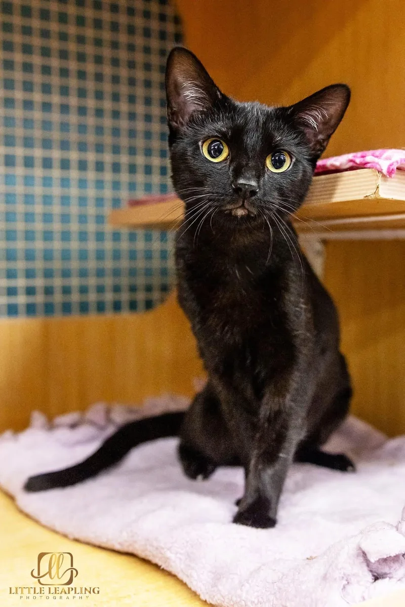 Sam & Carly thumbnail 2