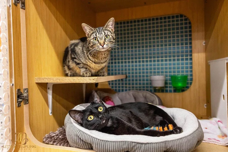 Sam & Carly thumbnail 3