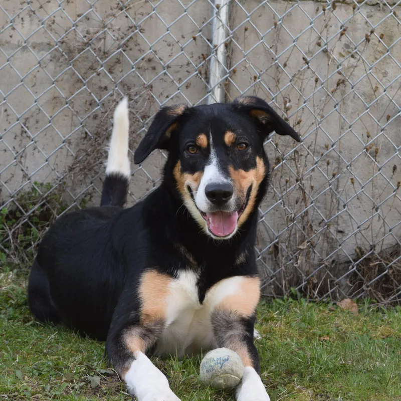 Winchester thumbnail 2