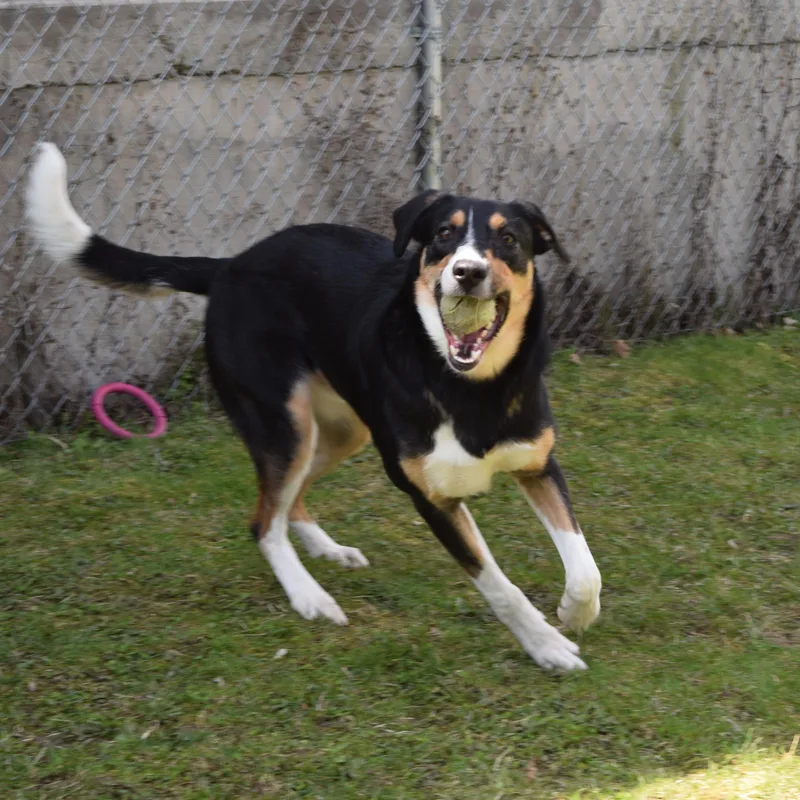 Winchester thumbnail 3