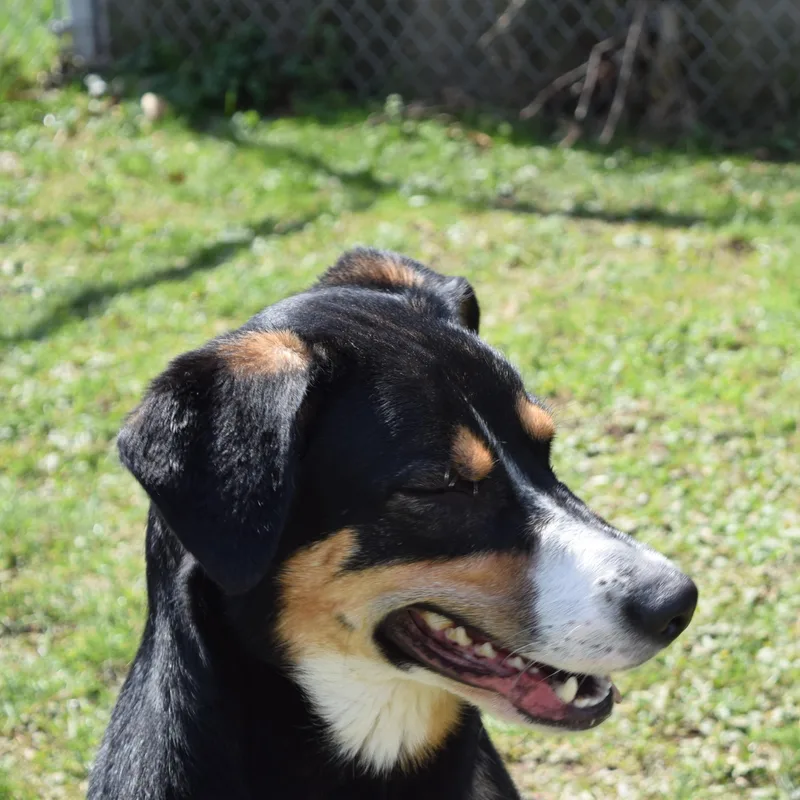 Winchester thumbnail 4