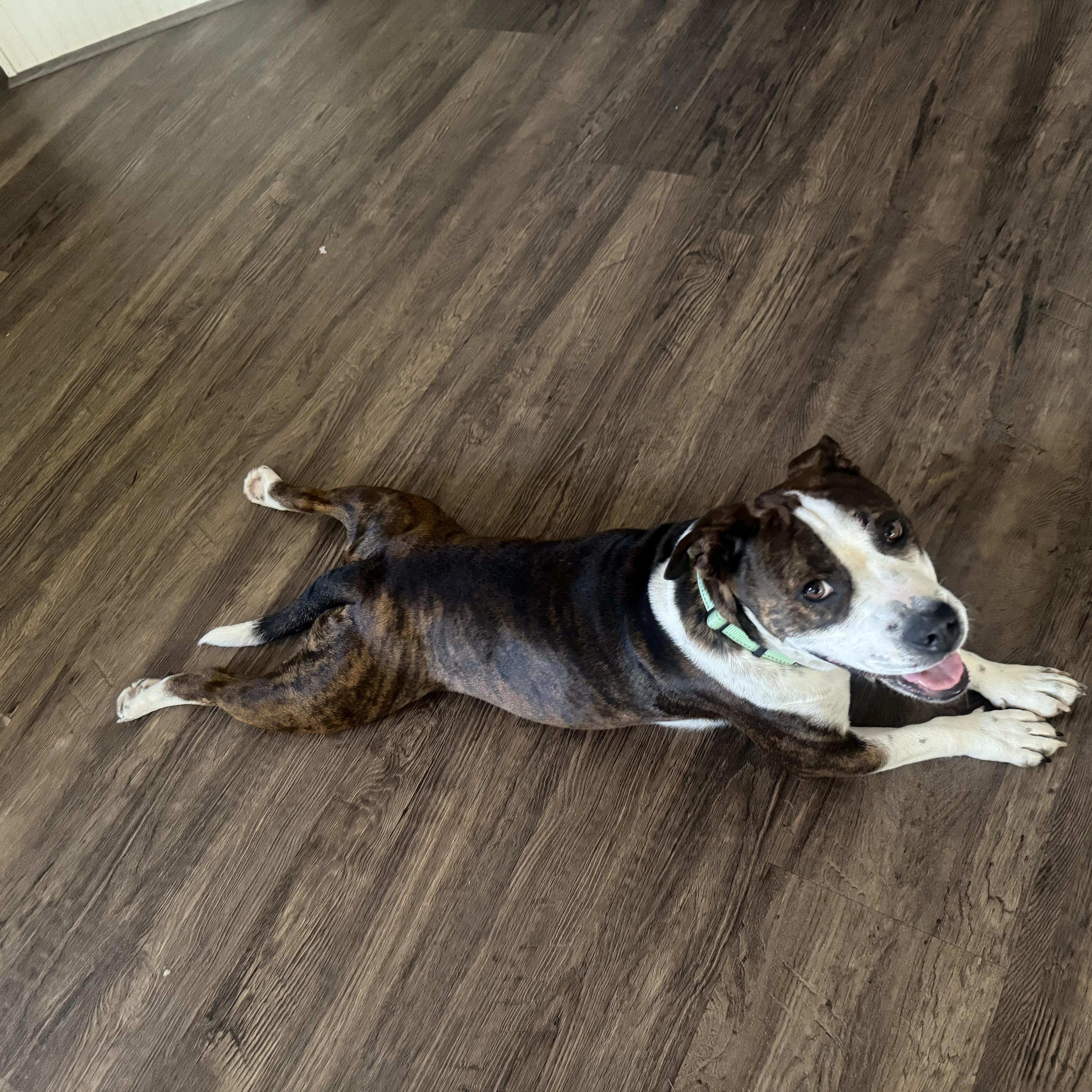Maggie Mae thumbnail 3