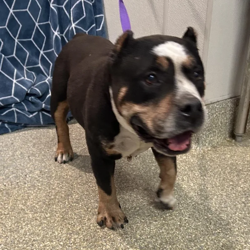 139584 thumbnail 2