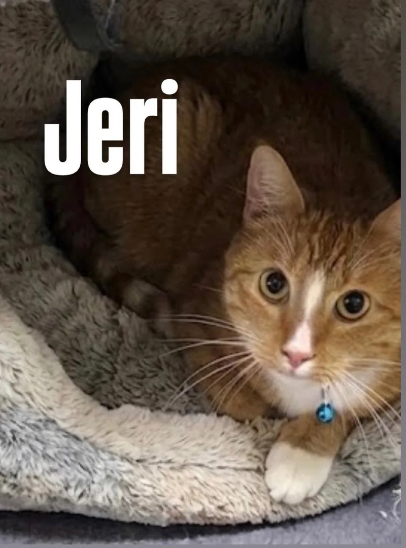 Jeri thumbnail 2