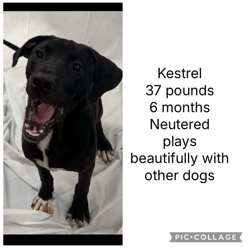 Happy KESO thumbnail 2