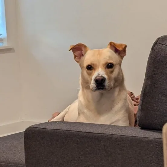 Judy Geller thumbnail 2