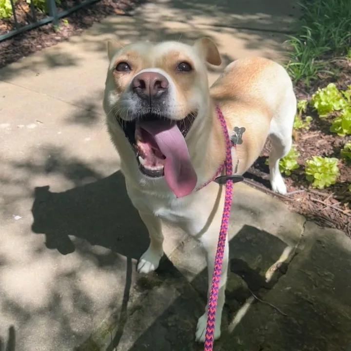 Judy Geller thumbnail 3