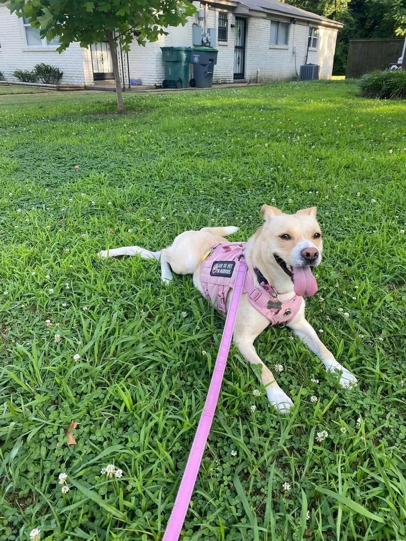 Judy Geller thumbnail 4