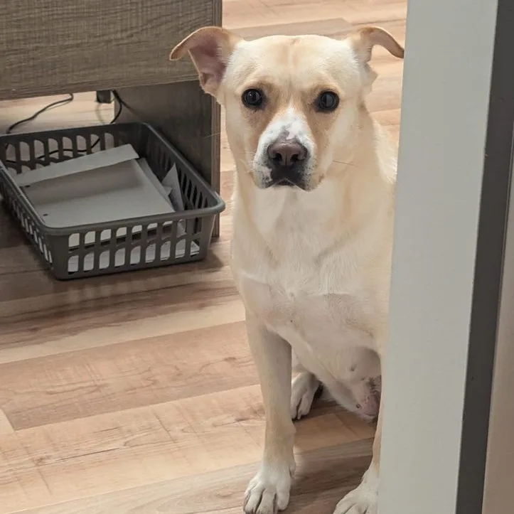 Judy Geller thumbnail 5