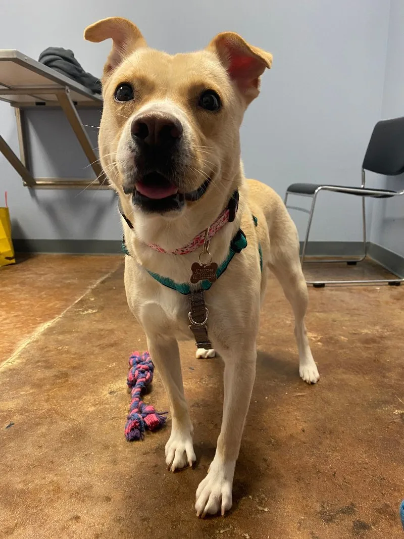 Judy Geller thumbnail 6