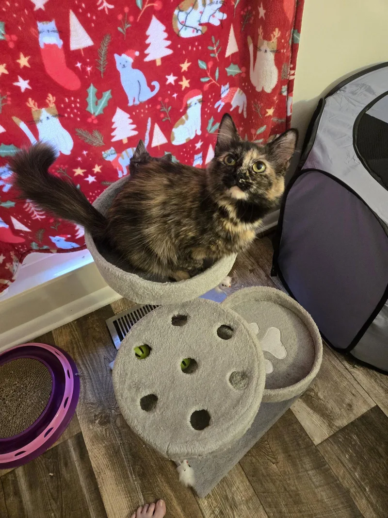 Caroline thumbnail 2