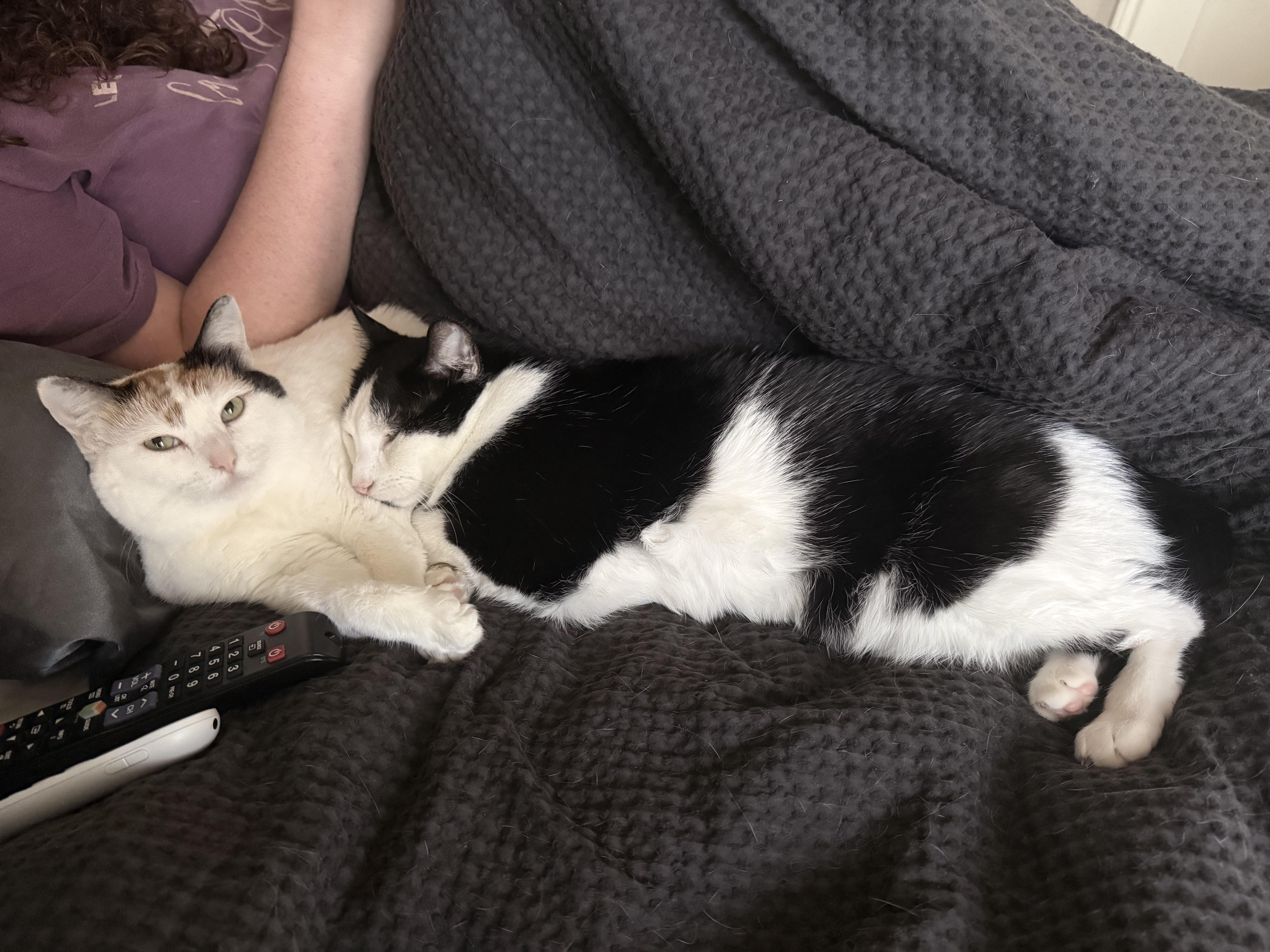 Oreo Mclain thumbnail 3