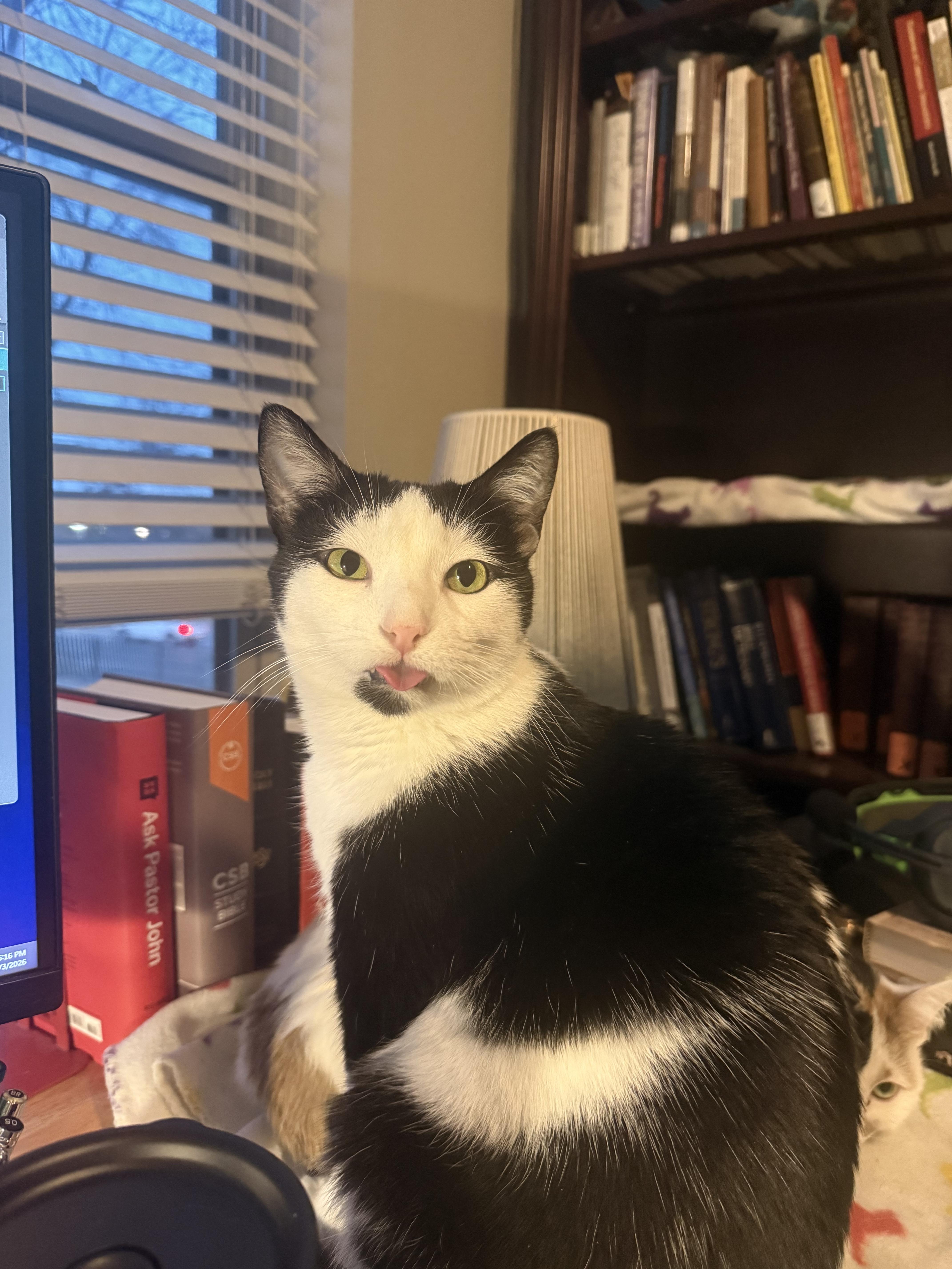 Oreo Mclain thumbnail 4
