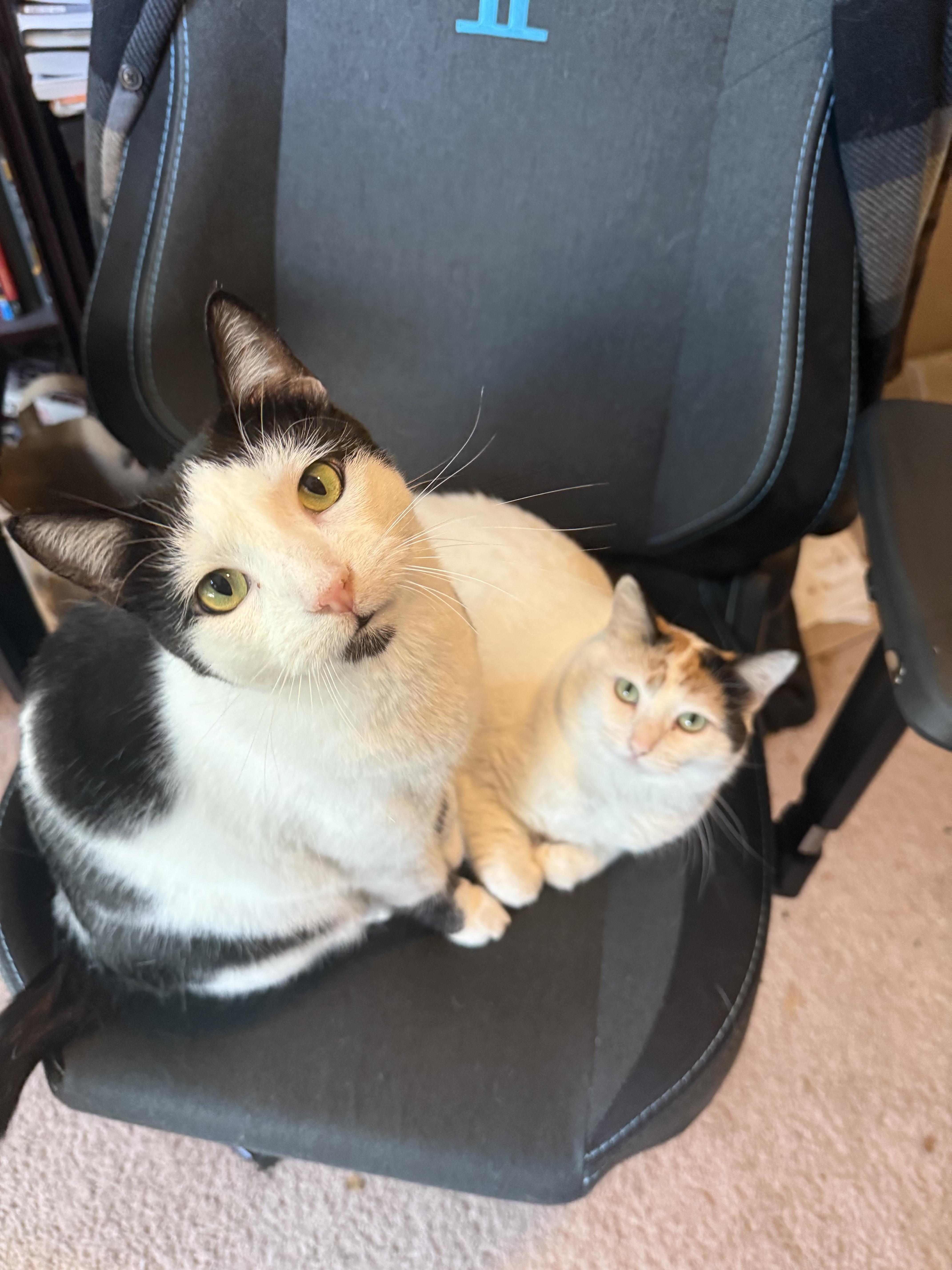 Oreo Mclain thumbnail 5