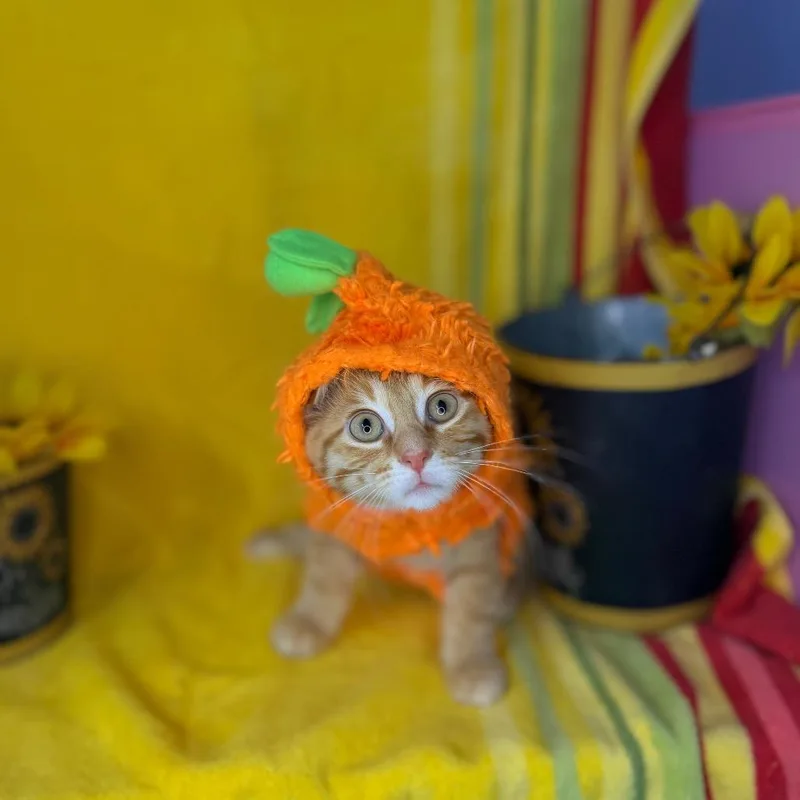 Baby Yoda thumbnail 3