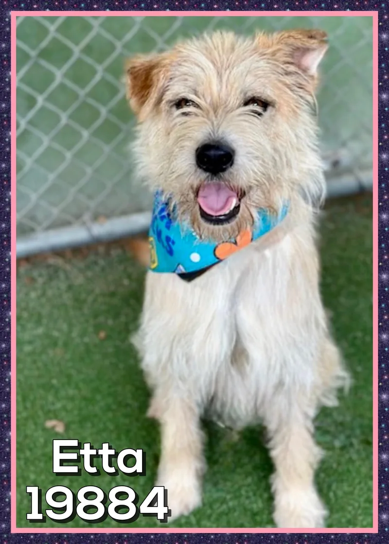 Etta thumbnail 2