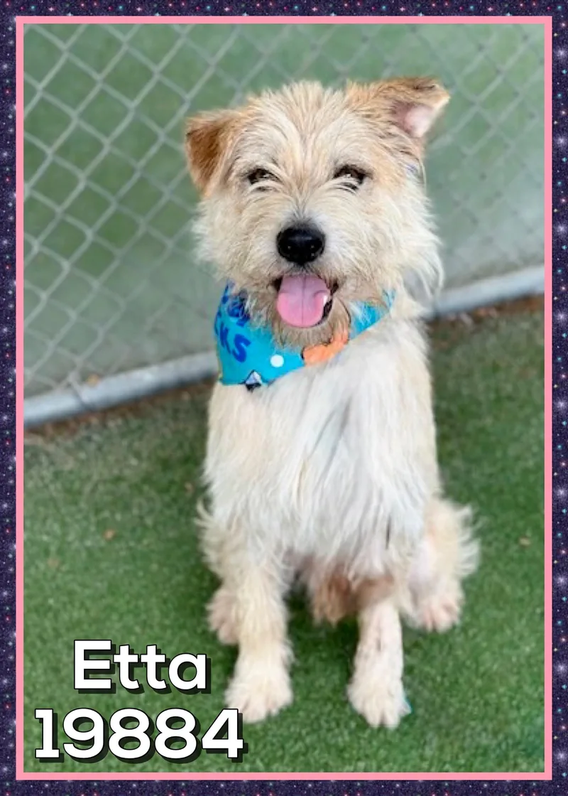 Etta thumbnail 3