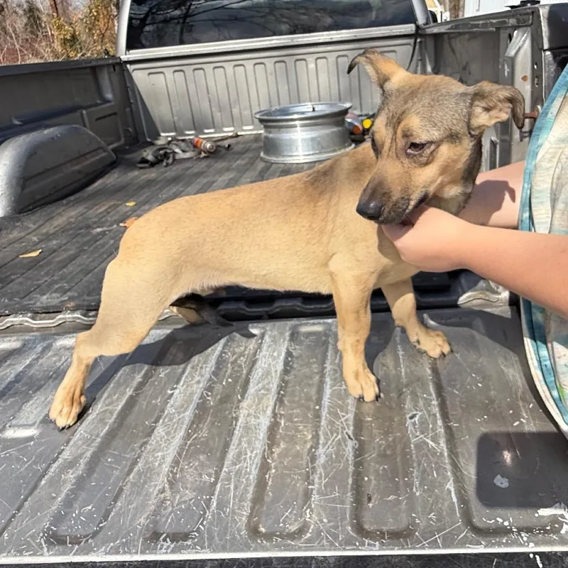 Mr. Buster thumbnail 2