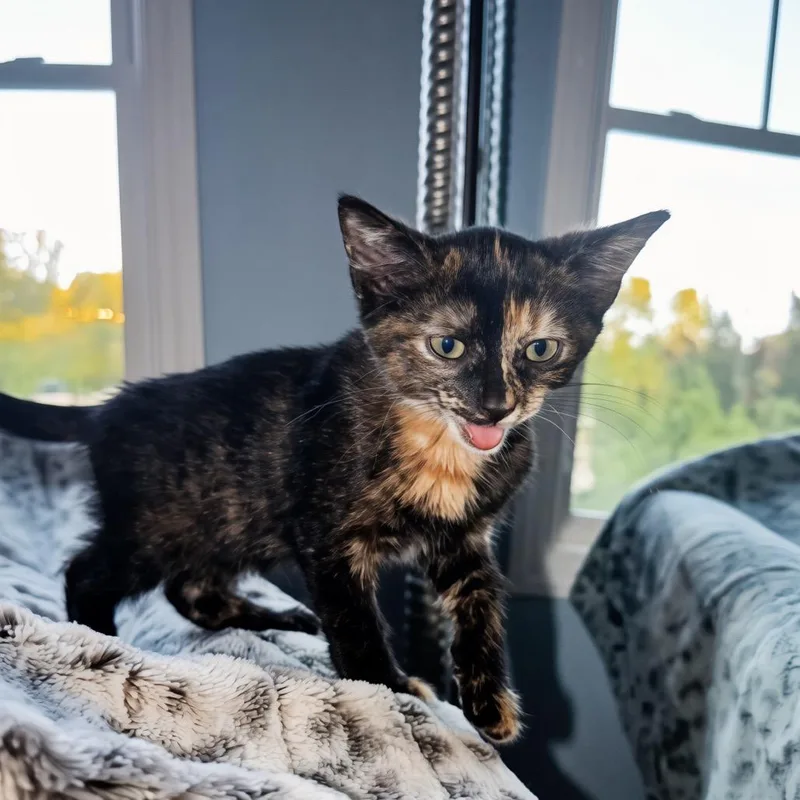 Baby Nora thumbnail 2