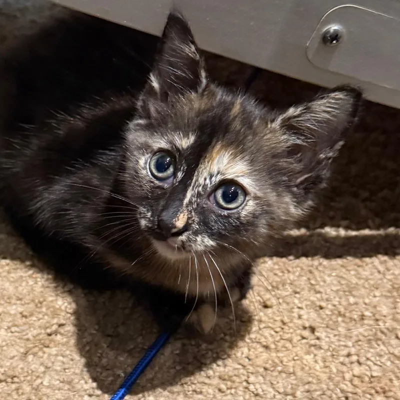 Baby Nora thumbnail 3