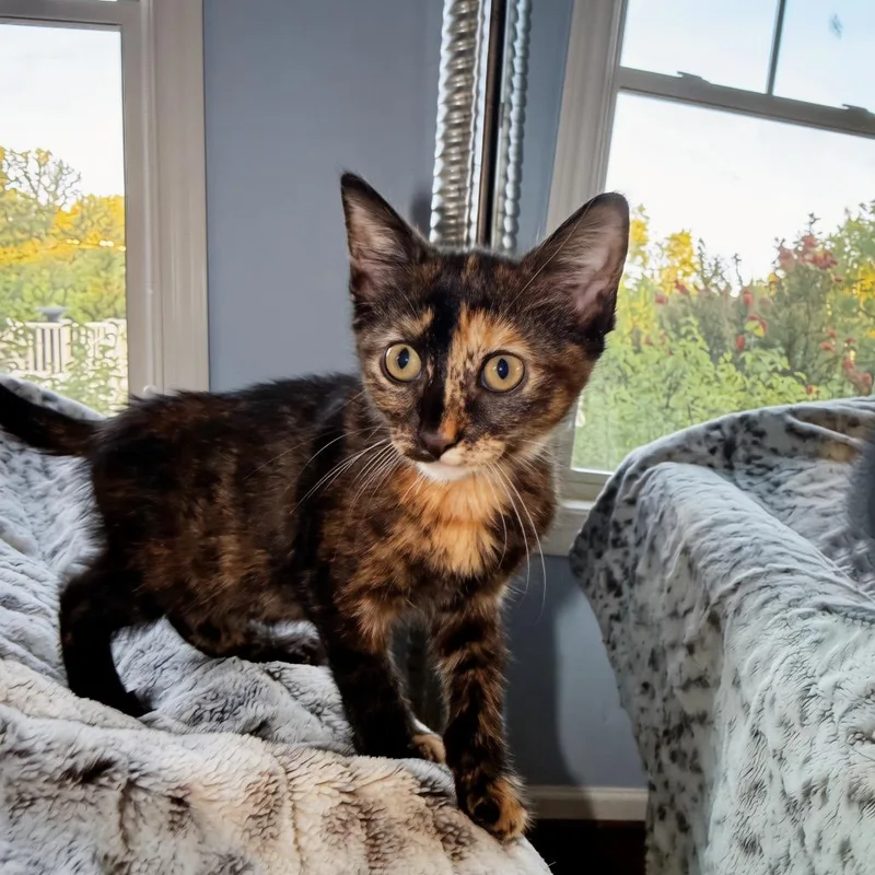 Baby Nora thumbnail 4