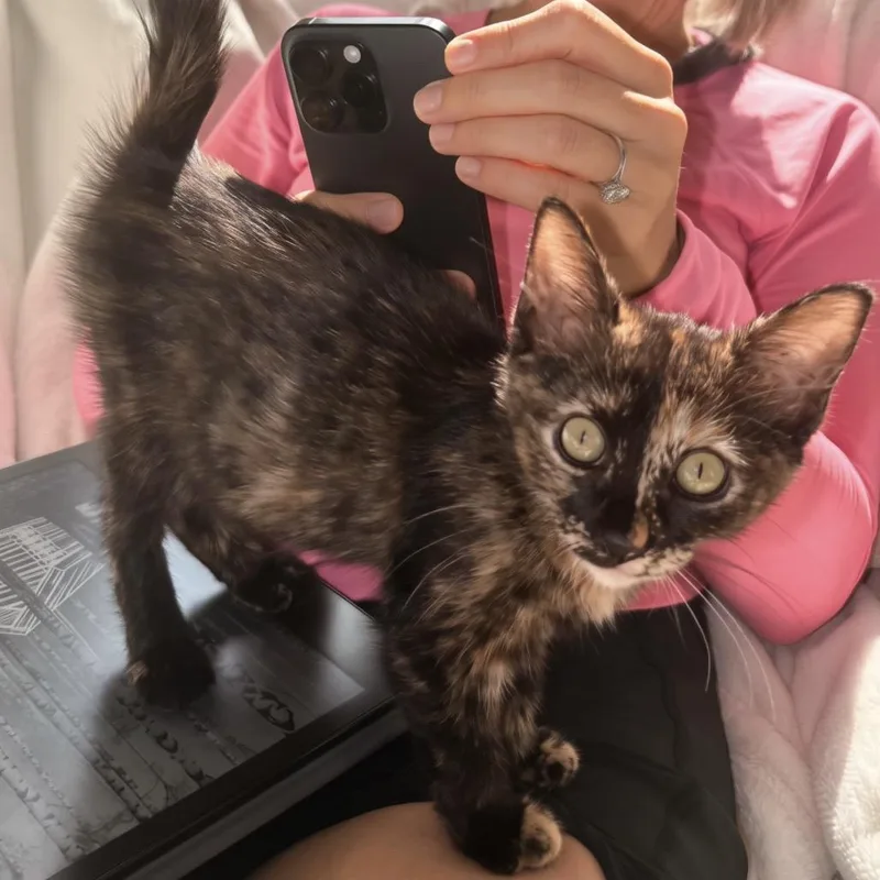 Baby Nora thumbnail 5